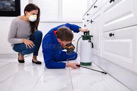 Best Pest Exclusion Services  in Kalamazoo, MI